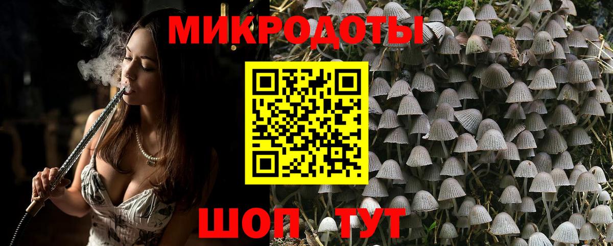 Псилоцибиновые грибы мухоморы Туапсе