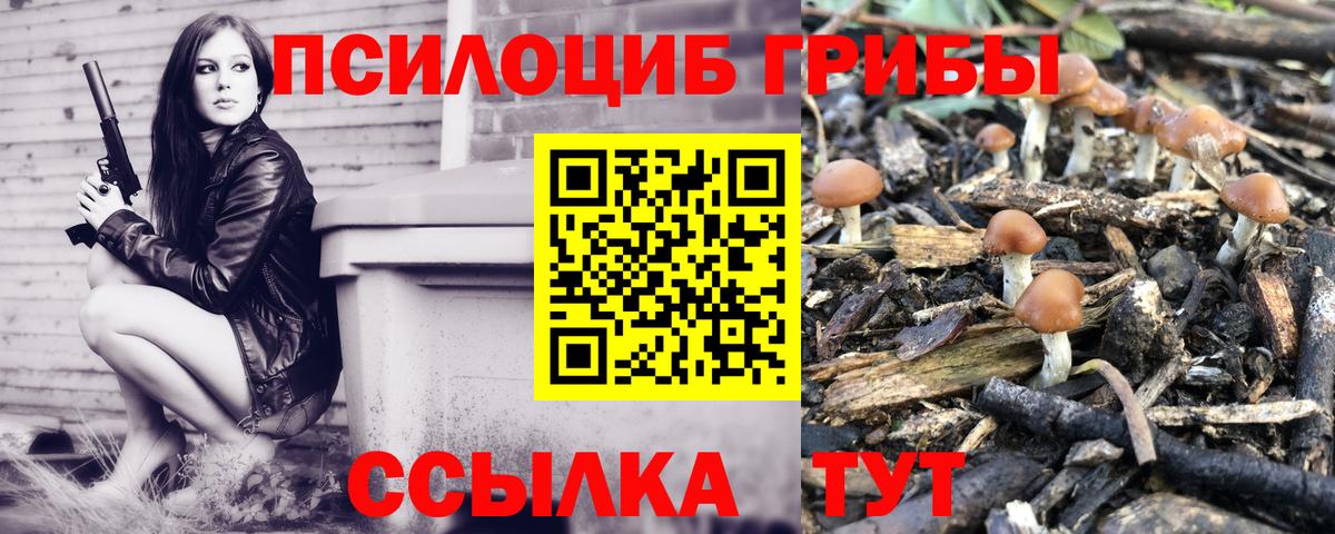 Псилоцибиновые грибы MAGIC MUSHROOMS  Псилоцибиновые грибы GOLDEN TEACHER  купить закладку  Туапсе  Вход с VPN 
