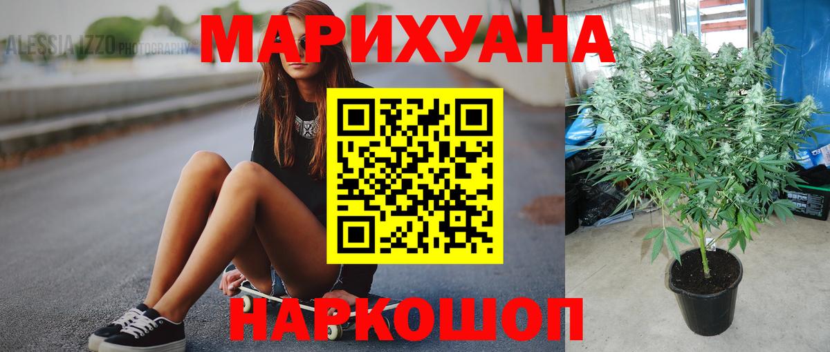 Бошки Шишки AK-47 Туапсе